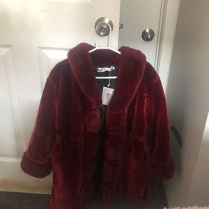 Maroon/dark red,  brand: fashion.